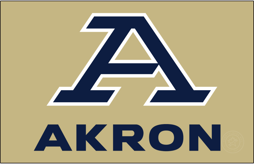 Akron Zips 2022-Pres Alt on Dark Logo diy iron on heat transfer
